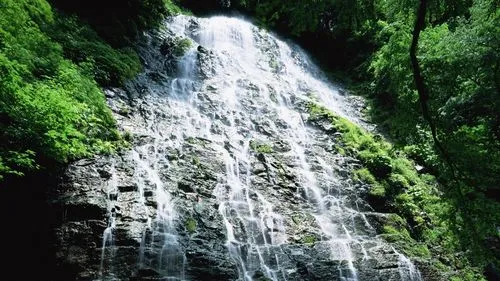 高性能智能自动化